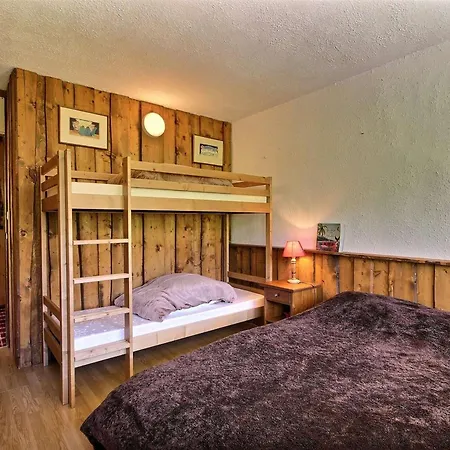 Lumineux 3 Pieces, 6 Pers., Animaux Admis, Proche Pistes - Fr-1-455-40 Daire *